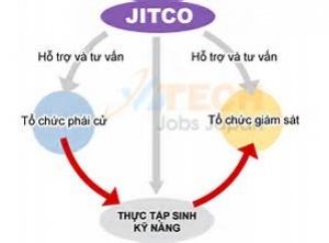 66 ngành nghề thực tập sinh theo quy định của JITCO